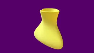 Organic Vase