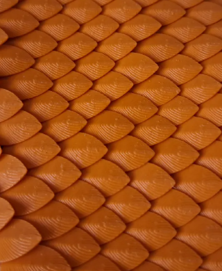 Dragon scale