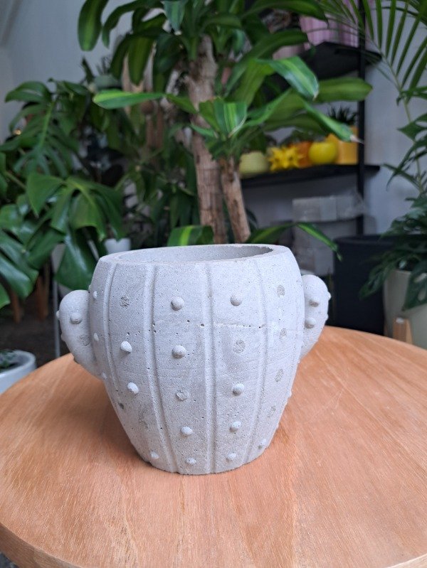 Molde maceta Cactus