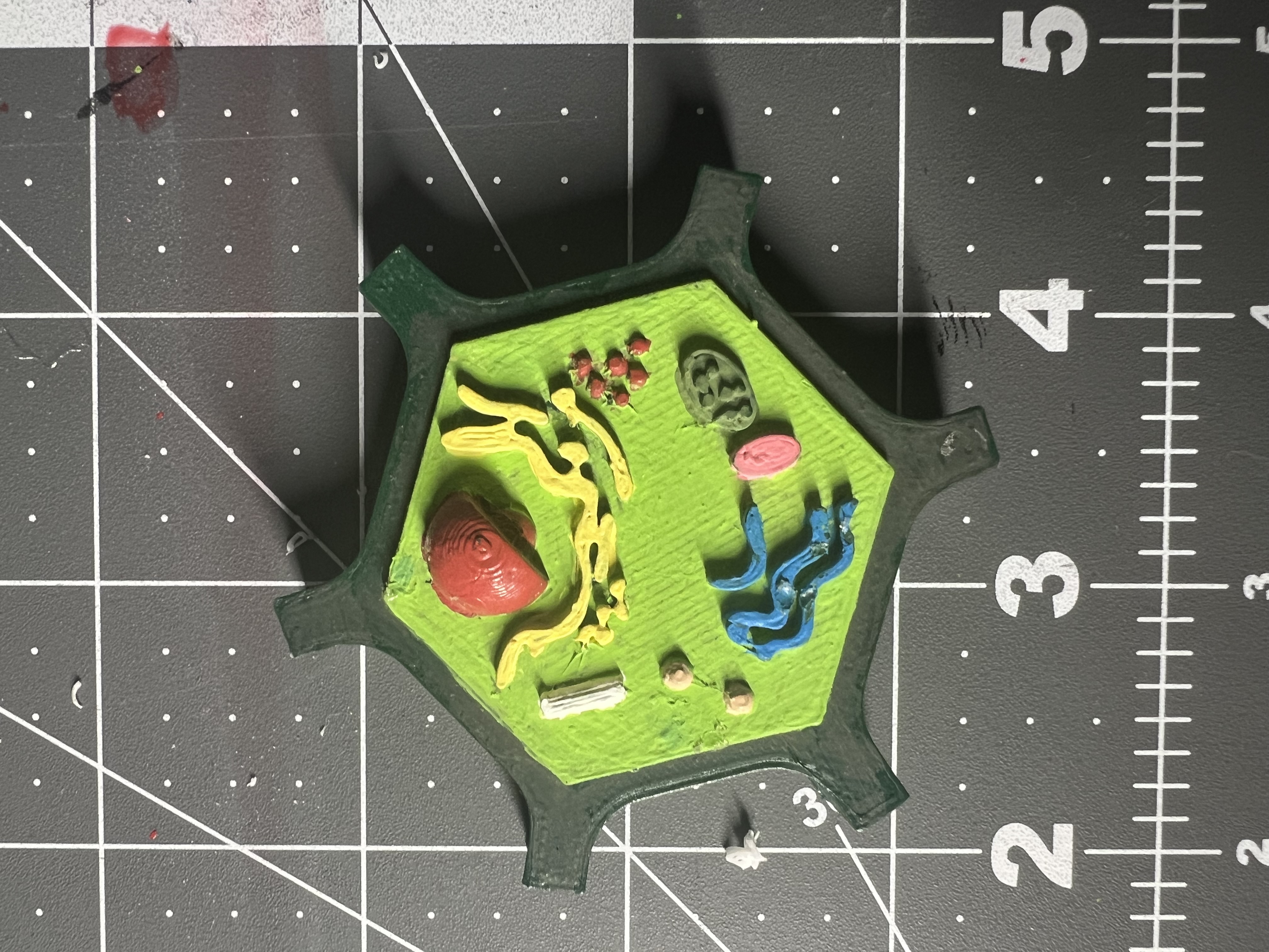 Plant Cell