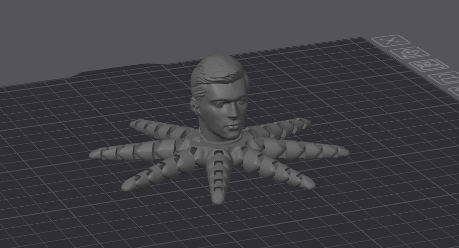 Max Verstappen Octopus