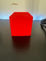 remote holder