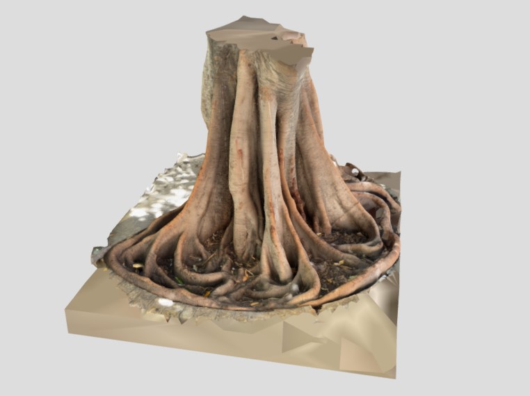 Ficus tree roots by AlexW | Download free STL model | Printables.com