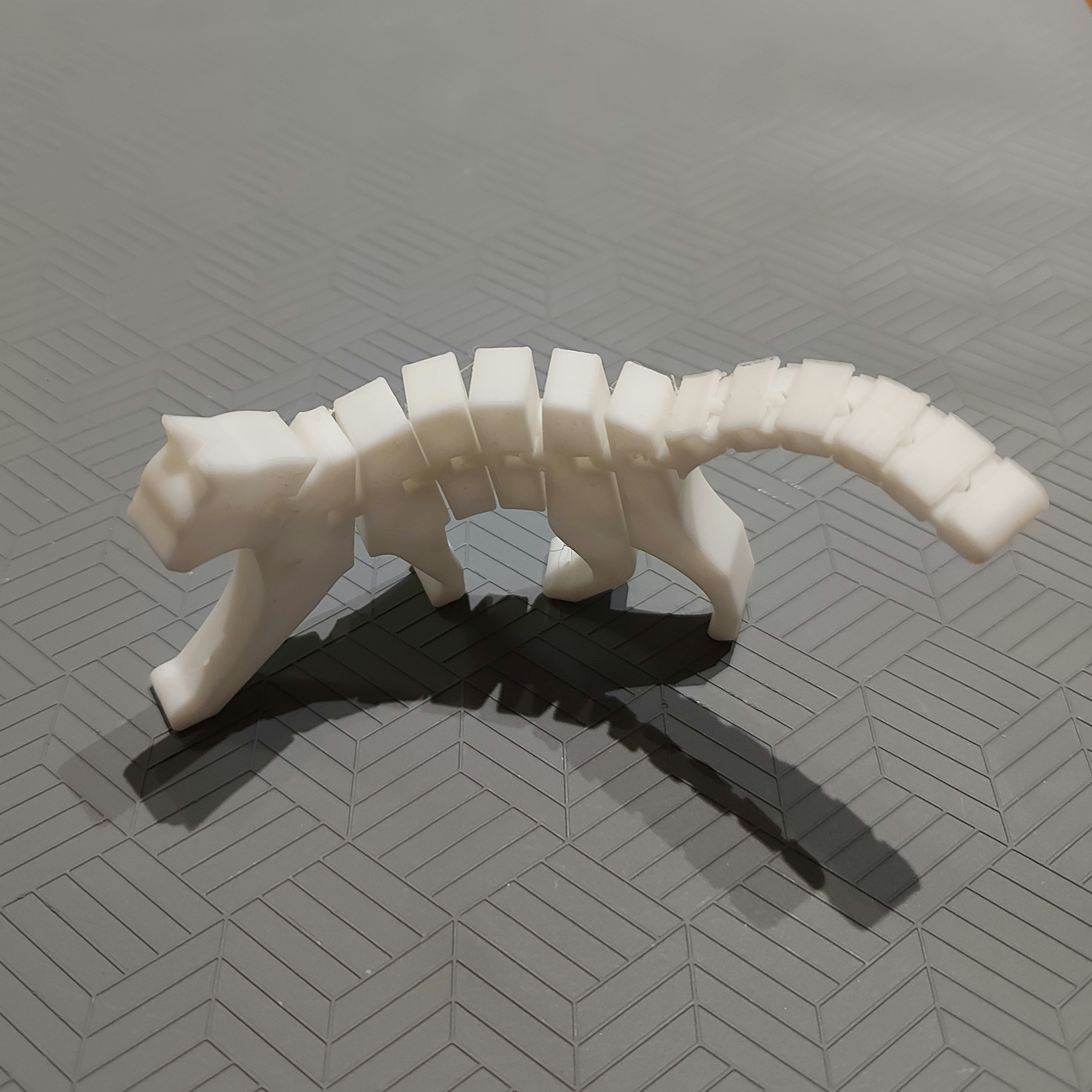Flexi Cat