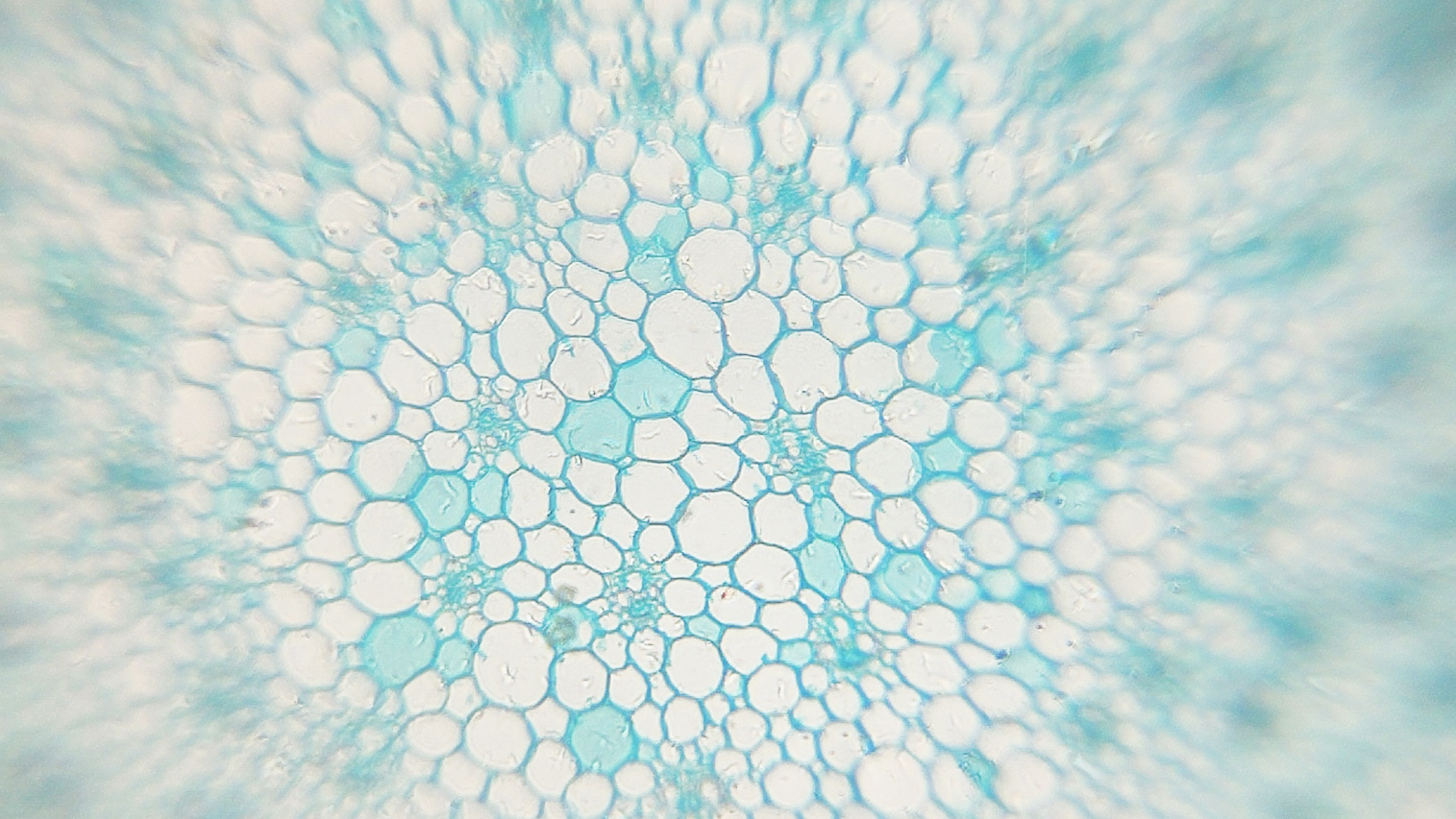 Miniatura 6 do modelo 3D Mobile Microscope