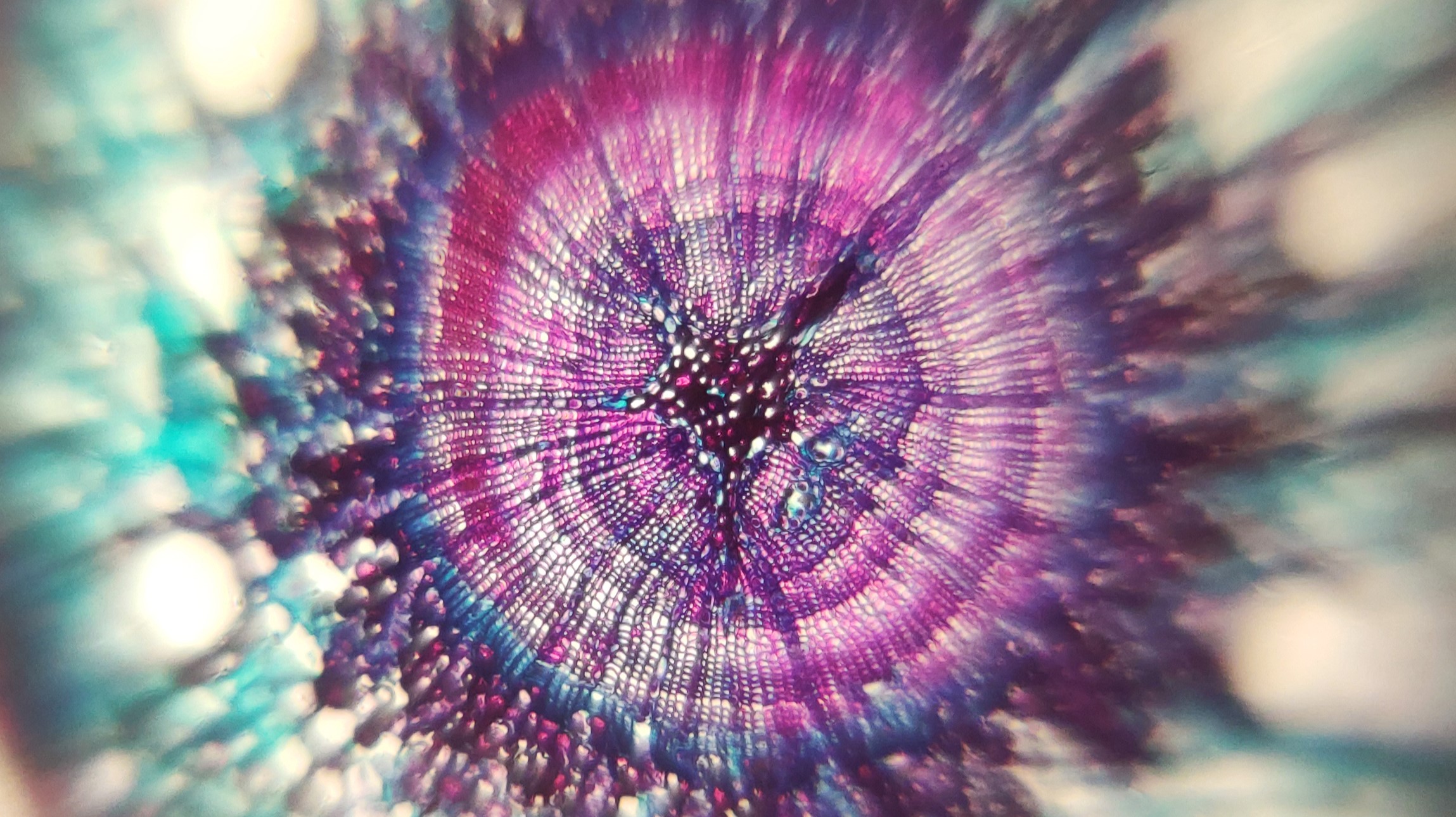 Miniatura 9 do modelo 3D Mobile Microscope