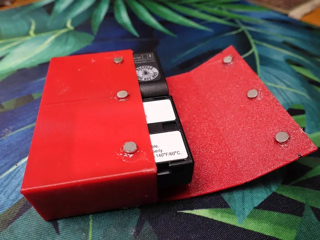 Battery Storage for Lumix BLF19 camera batteries