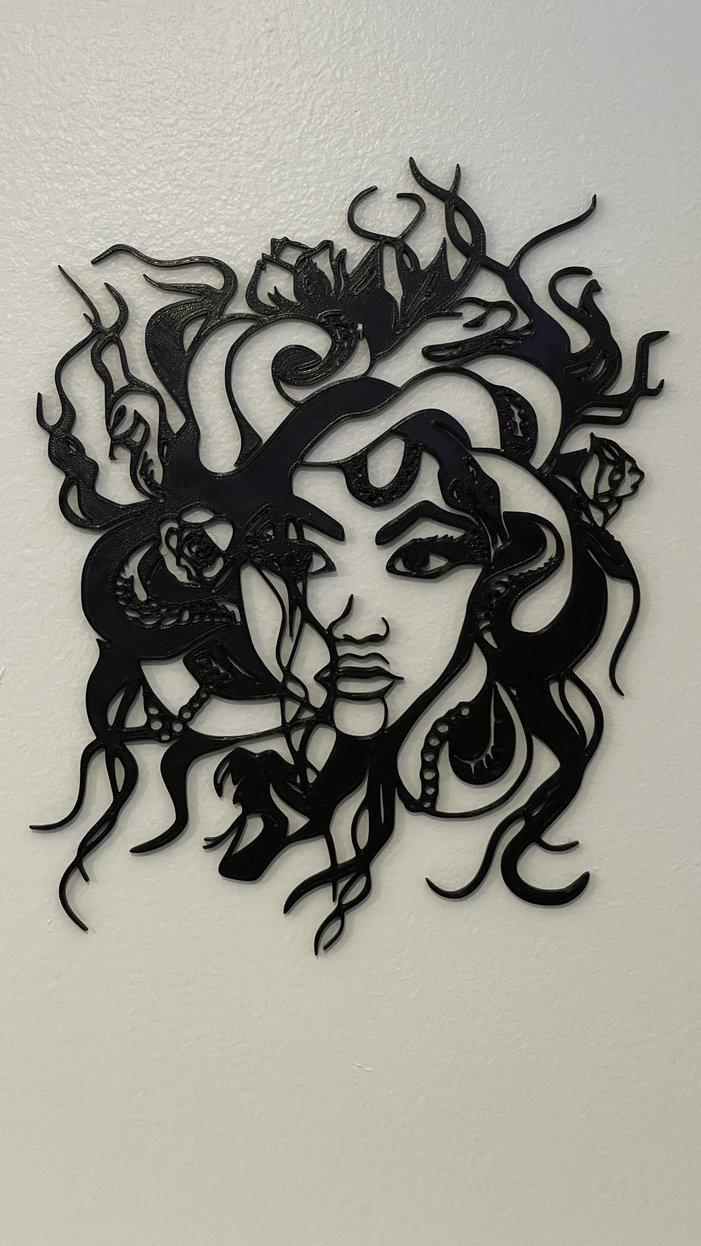 Medusa Wall Art