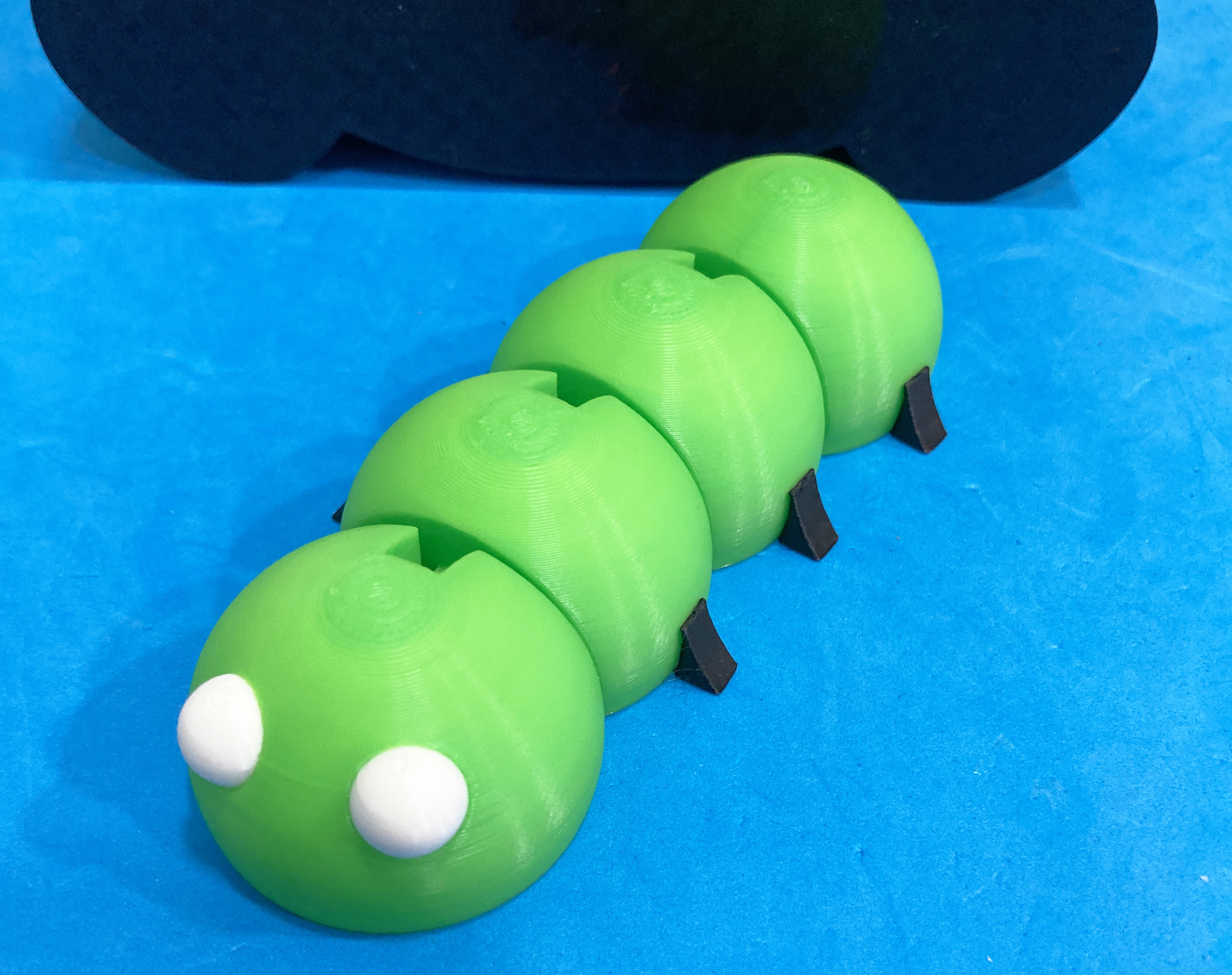 Articulated worm / Gusano articulado