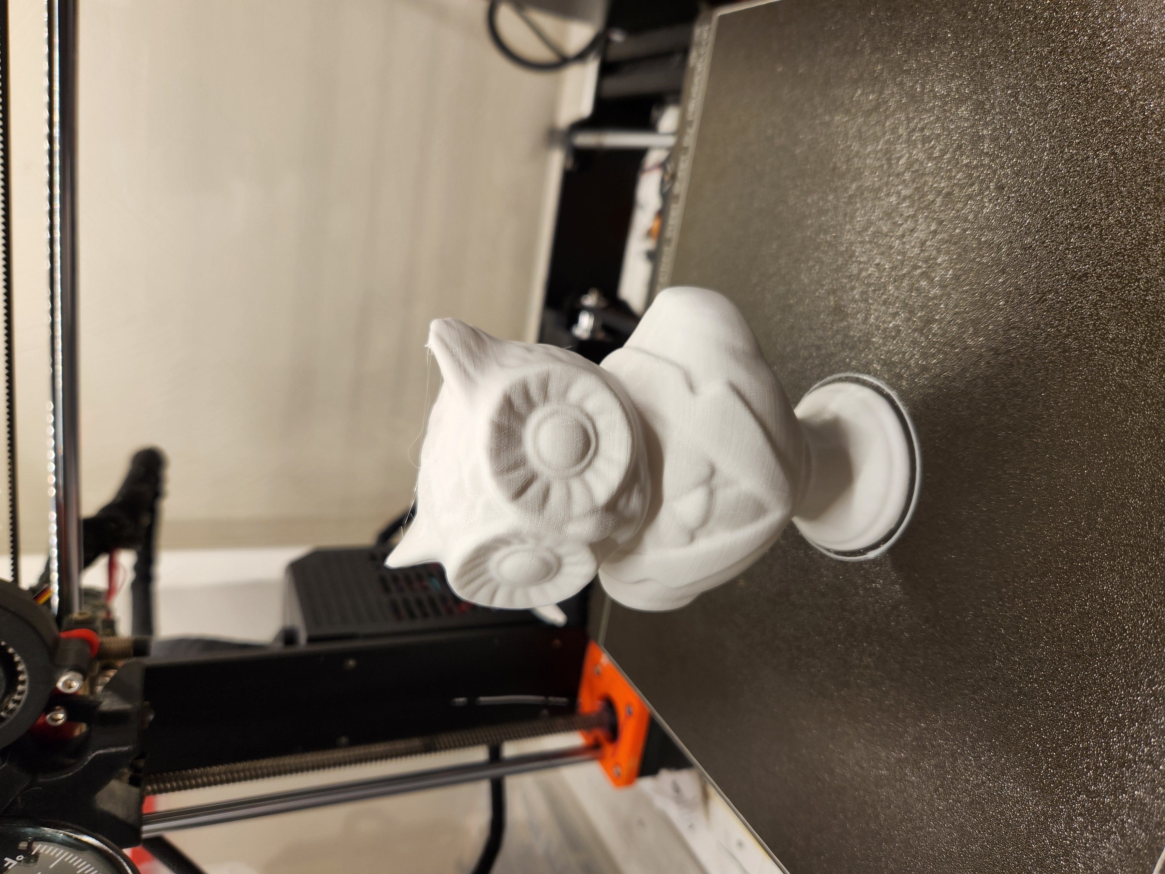 Dapper Owl Bust
