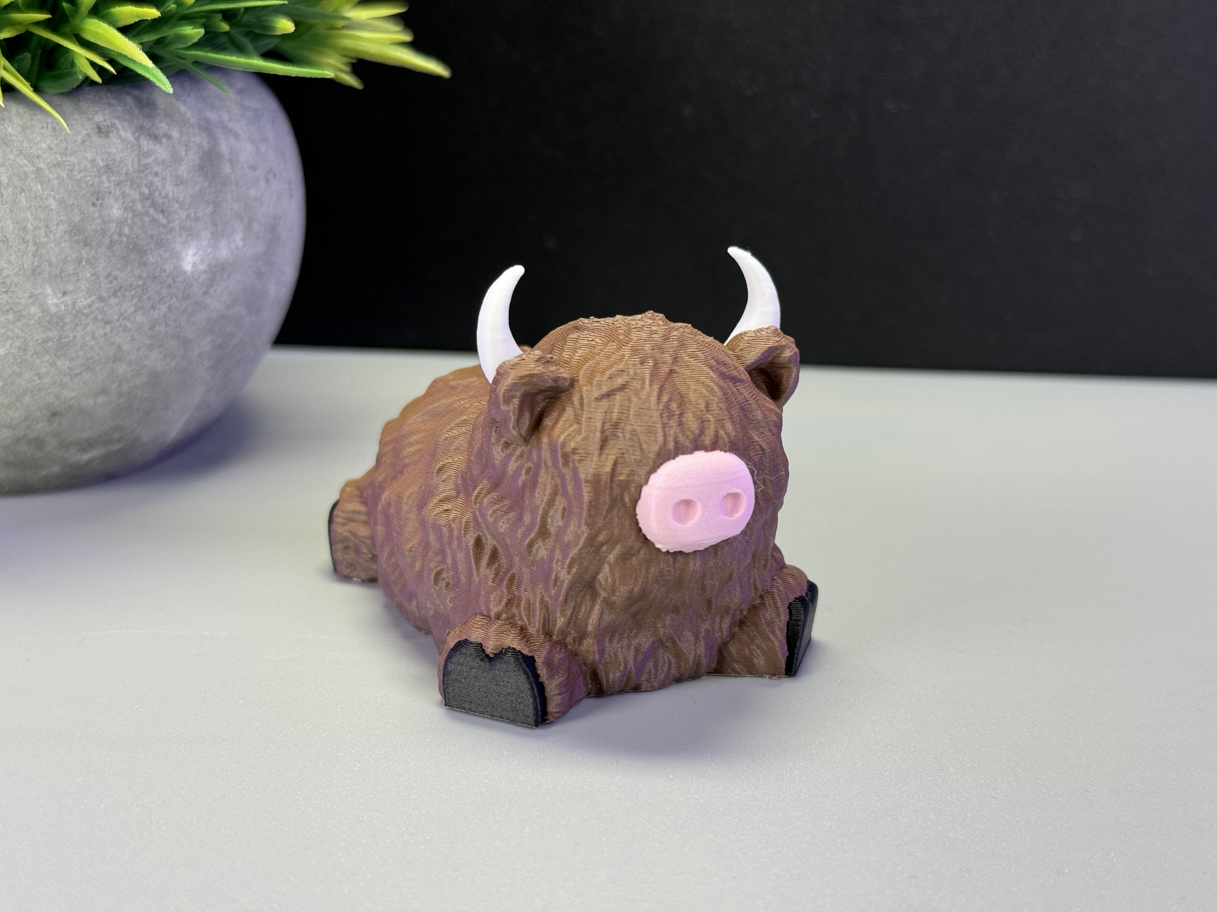 Cute Highland Cow