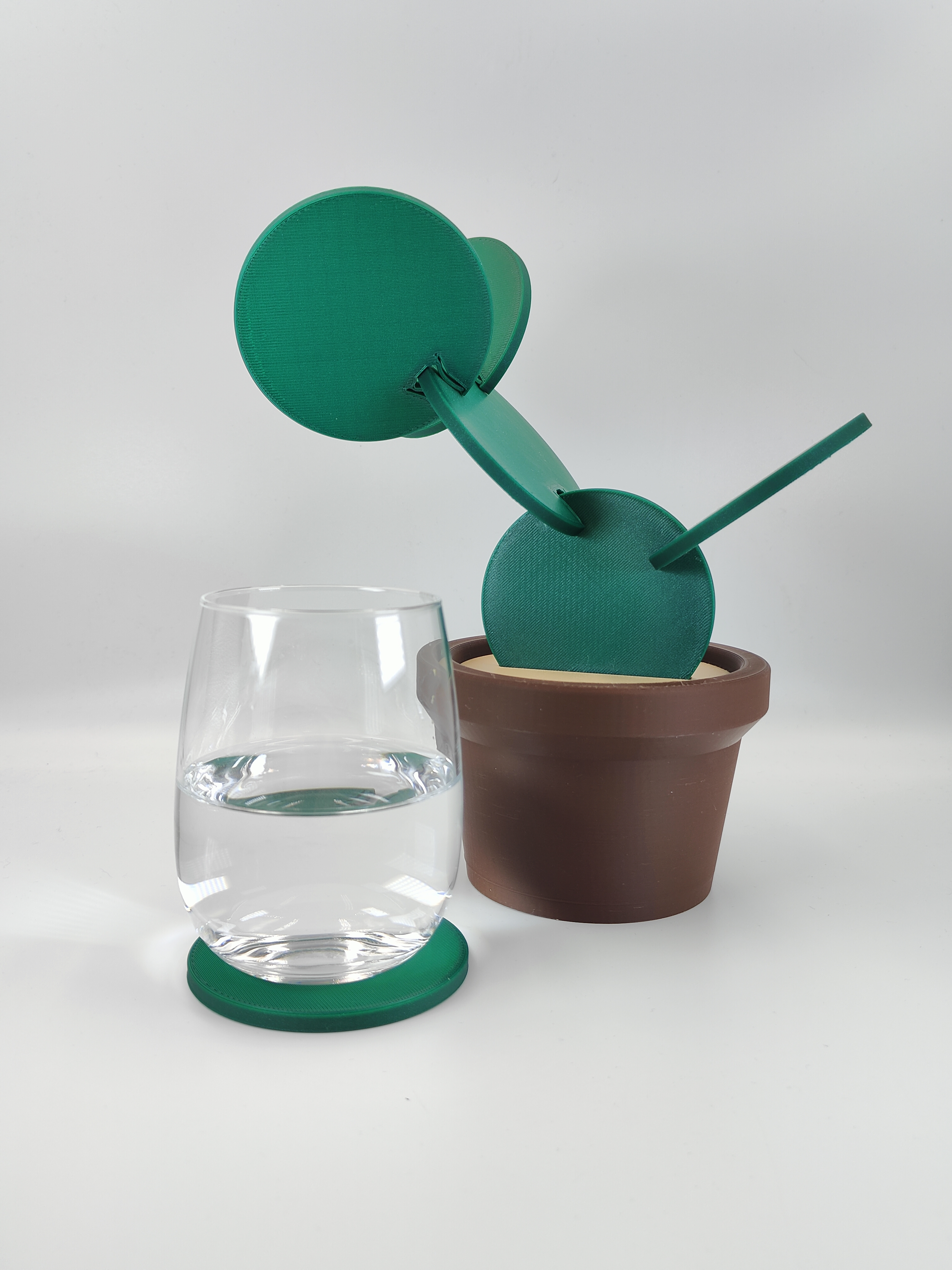 Cactus Coasters Set