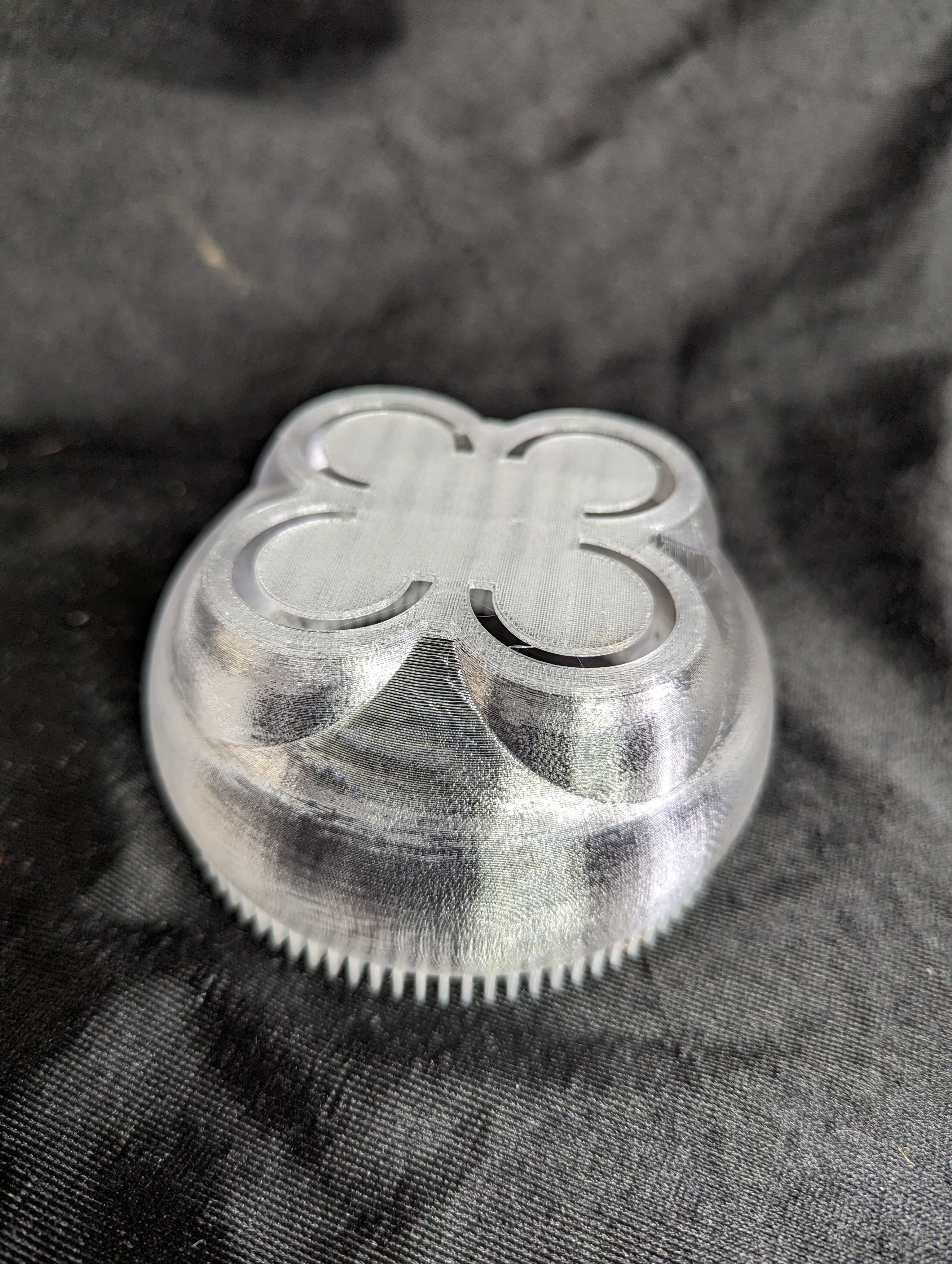 Moon Jellyfish