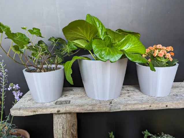 Simple Planter