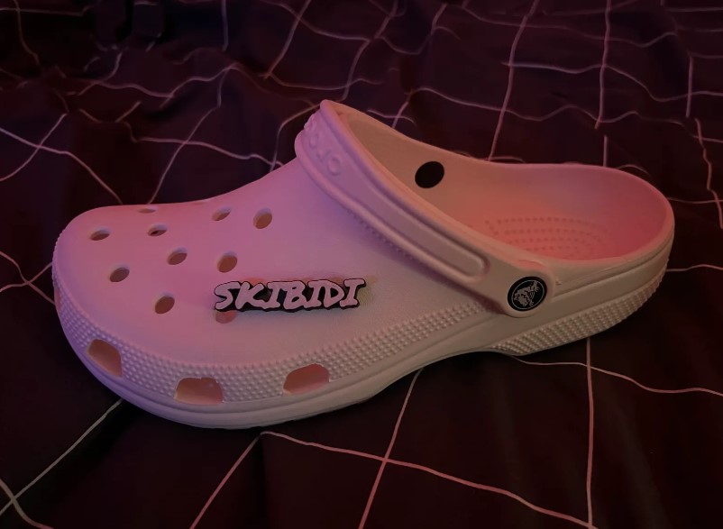Crocks "Scibidi" 3D model thumbnail