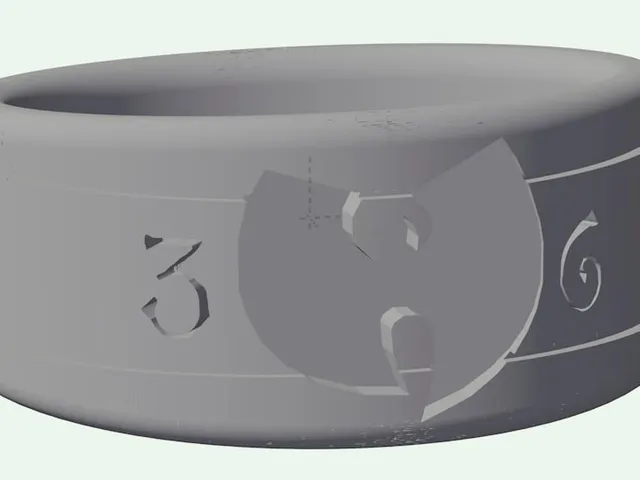 Wu Tang Clan Ring