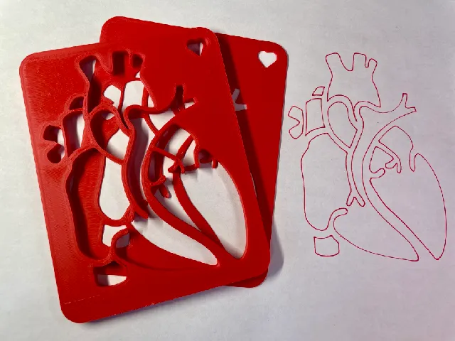 Cardiac Anatomy Template