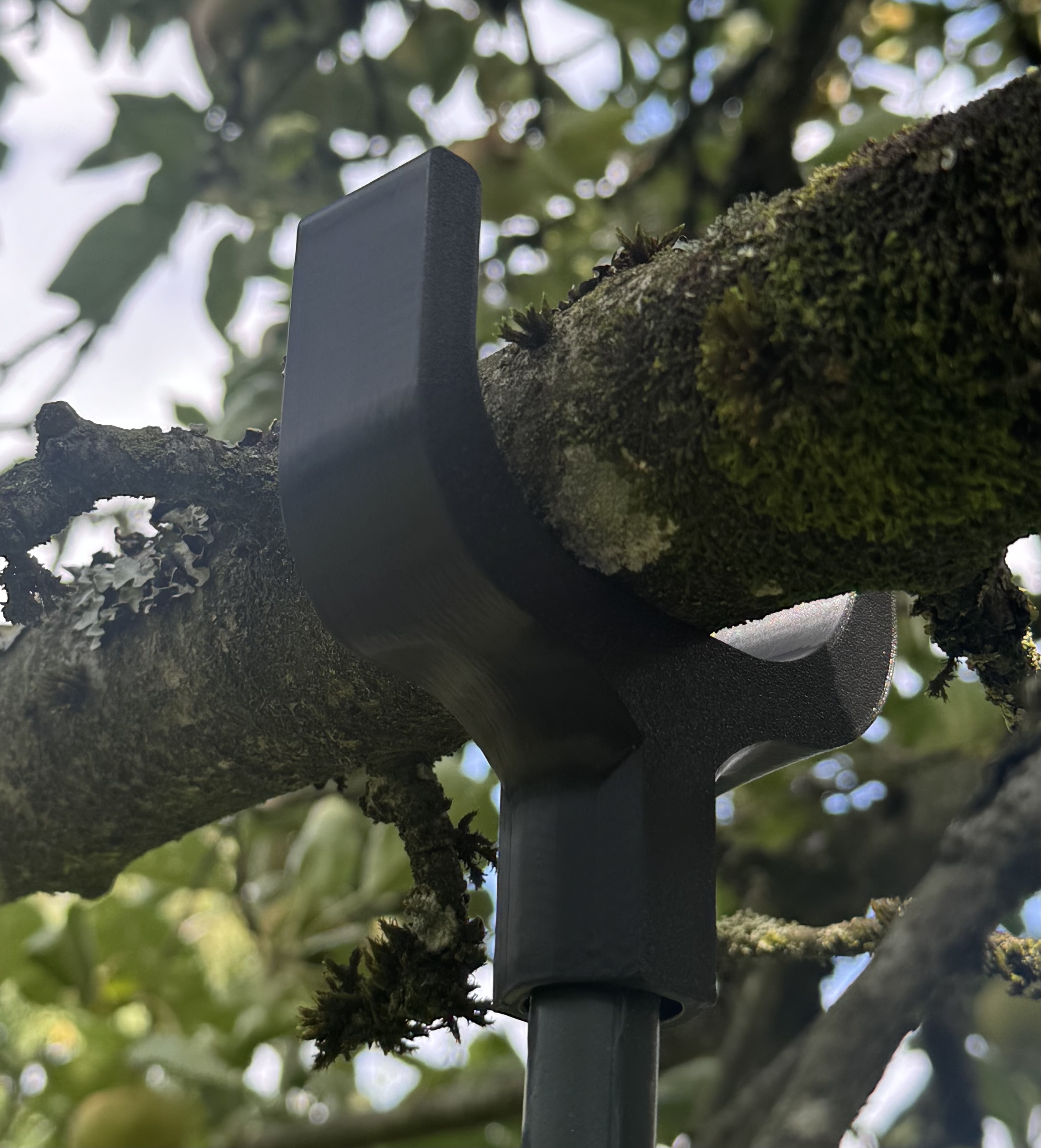 Tree branch support