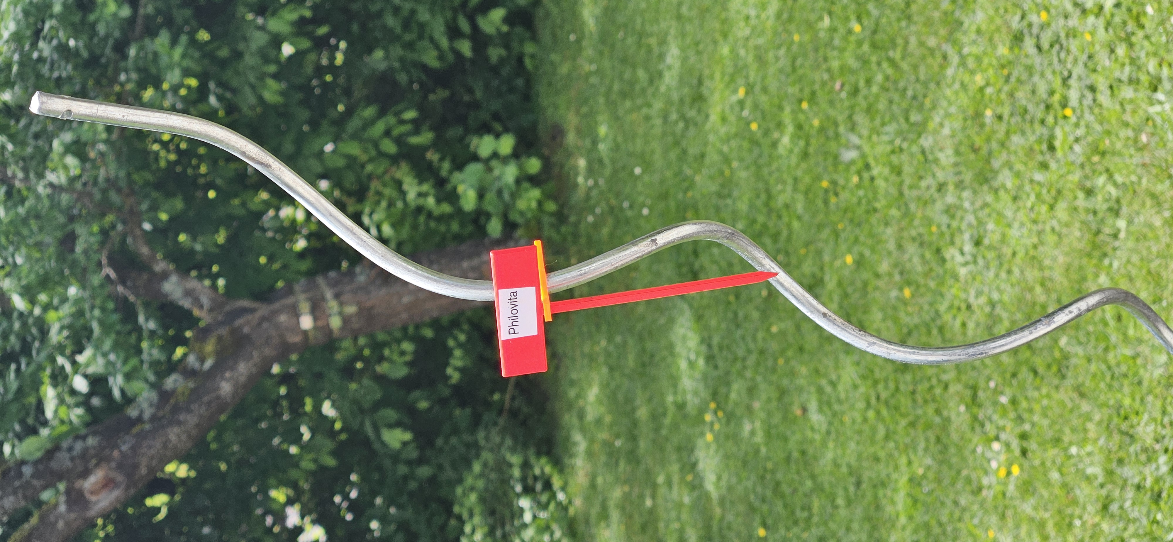 Pflanz Tafel/Schild an Rankstange befestigen / Attach planting board/sign to climbing pole