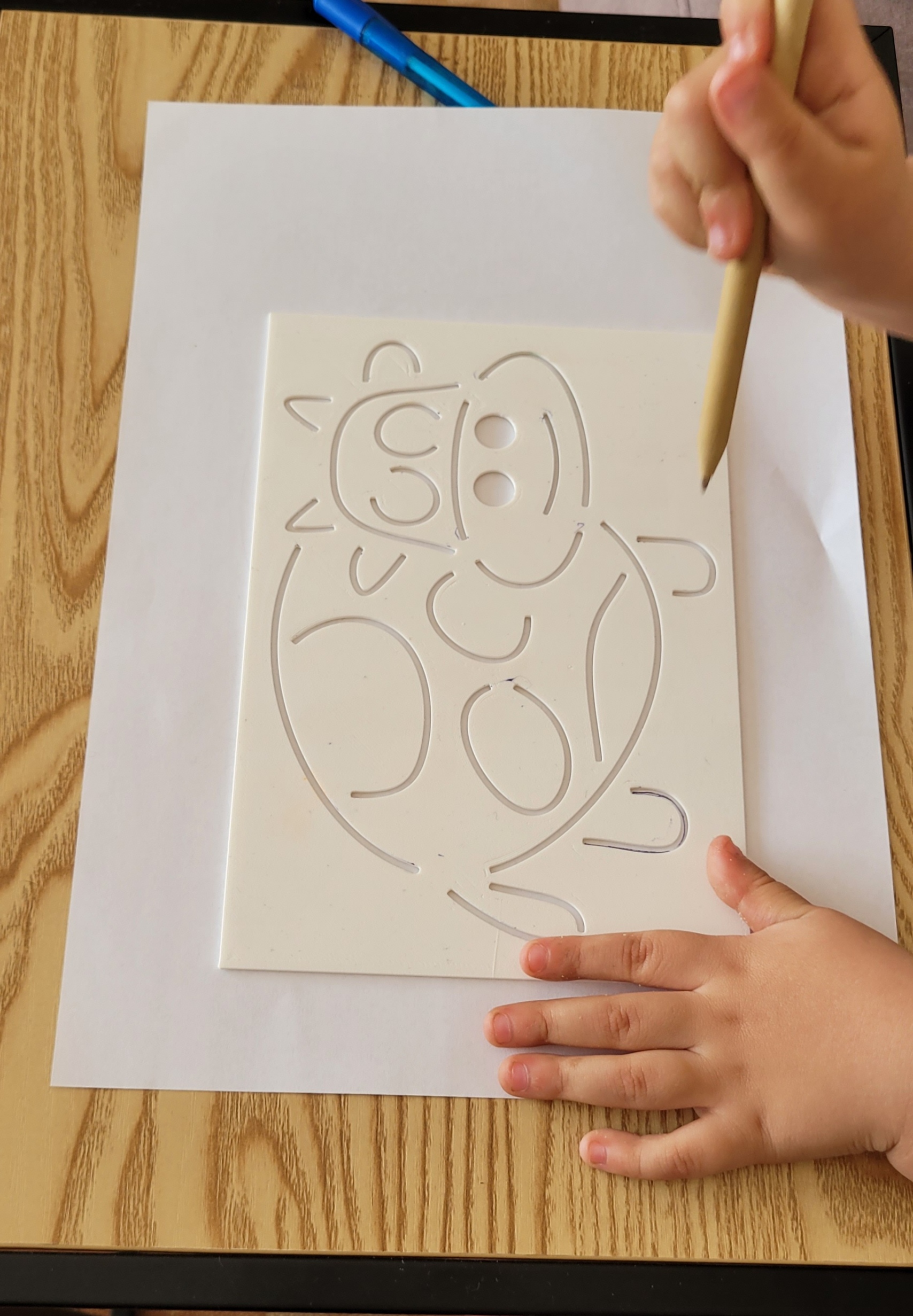 animals templates