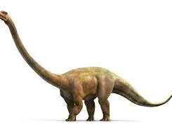 barosaurus