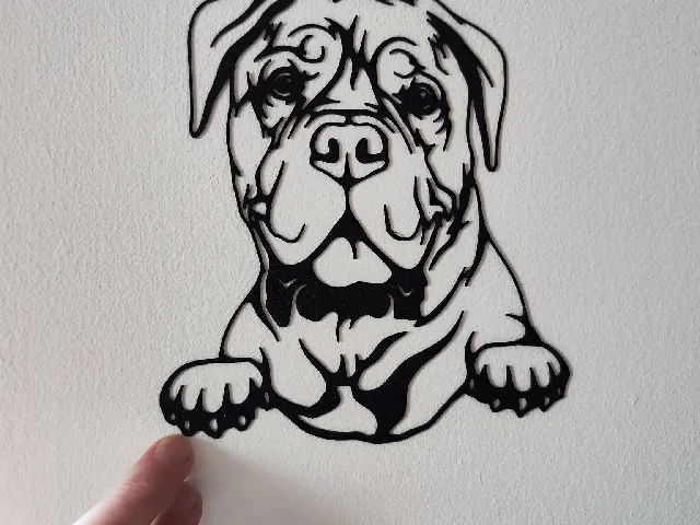 Bordeaux Great Dane - Doga