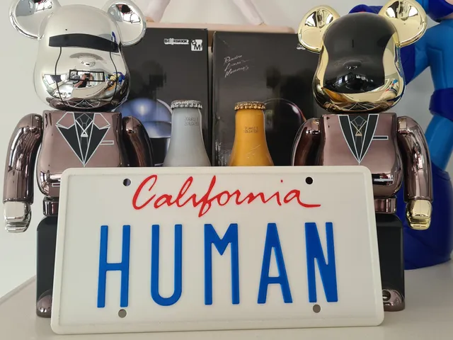 Daft Punk "Human California" Numberplate