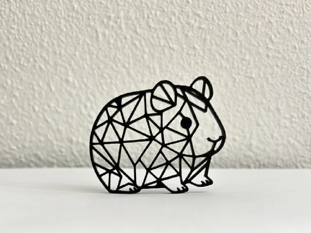 Geometric Guinea pig