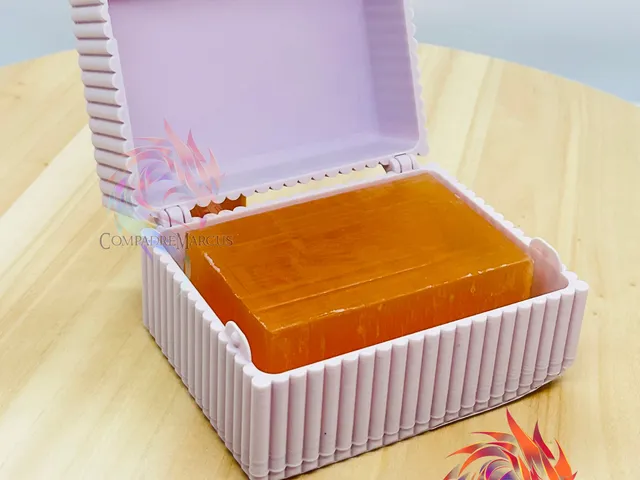 Soap Bar Travel Case / no supports / 3mf included