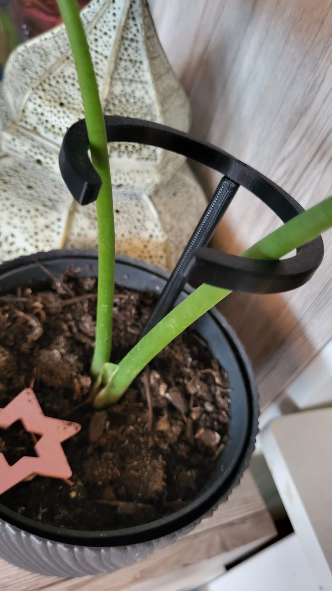 Plant Support