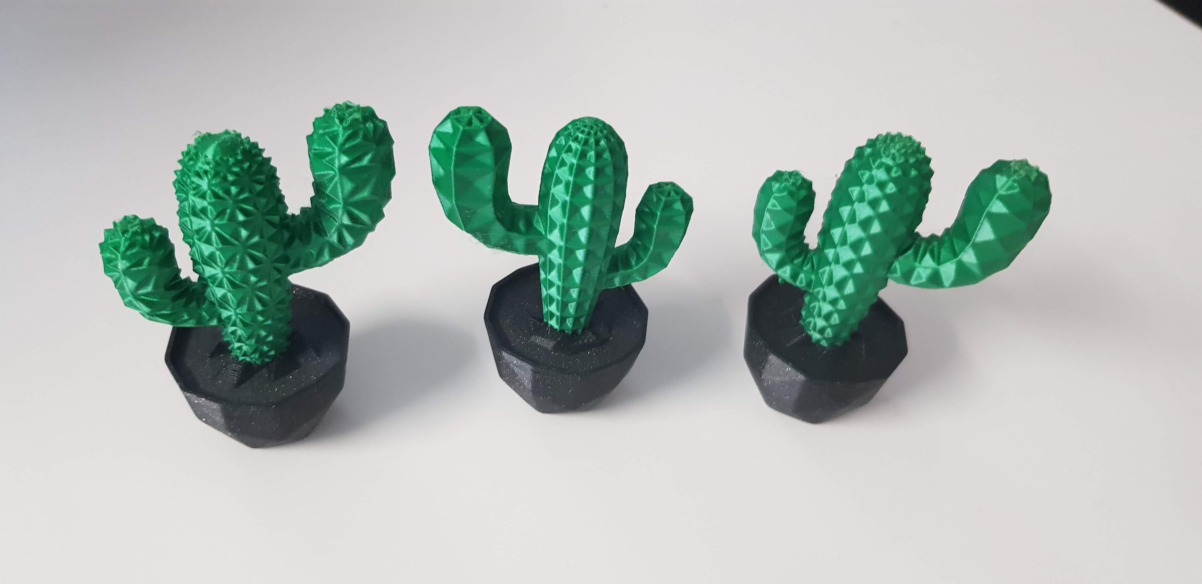 Cactus Plant MMU