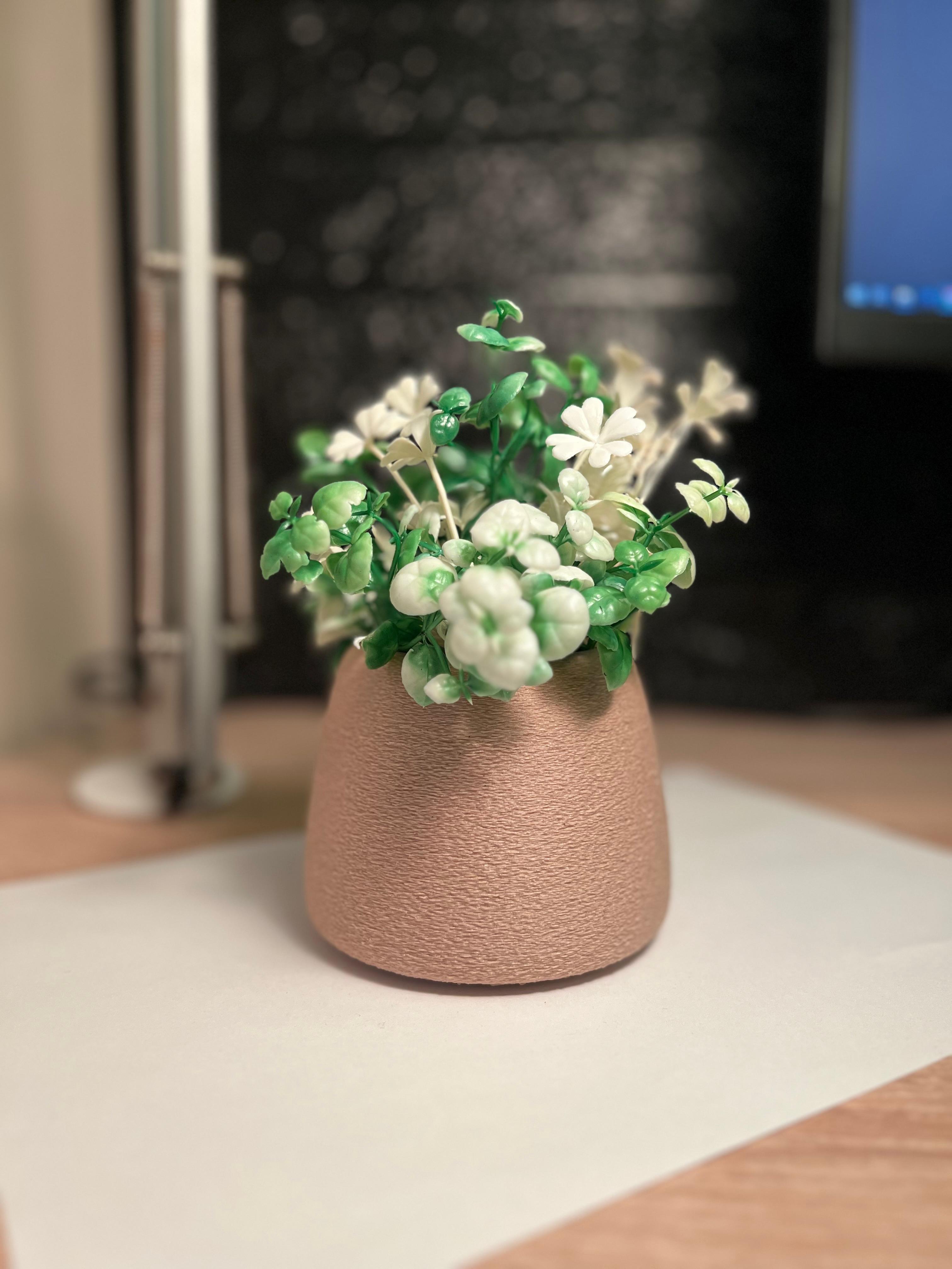 Vase Fuzzy Skin