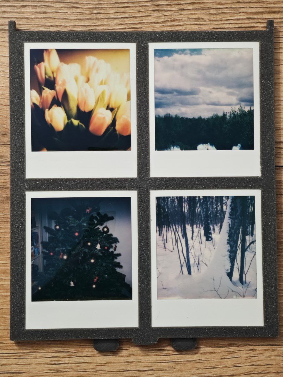 Polascan - Holder for scanning Polaroids