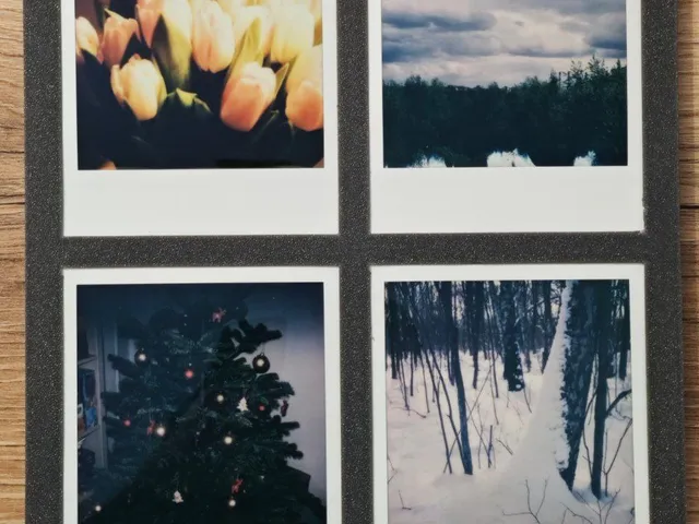 Polascan - Holder for scanning Polaroids
