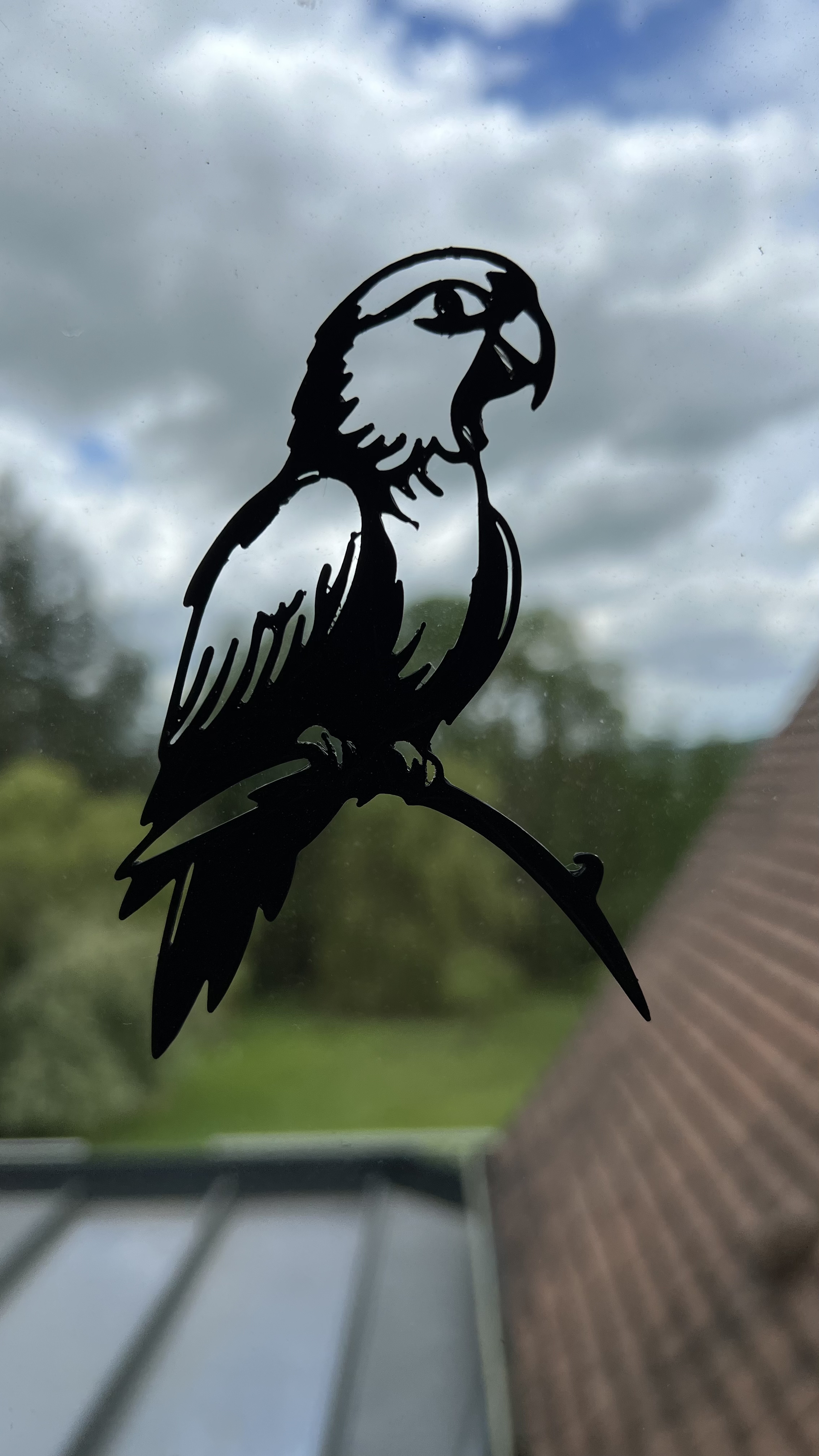 Parrot Wall Art #3