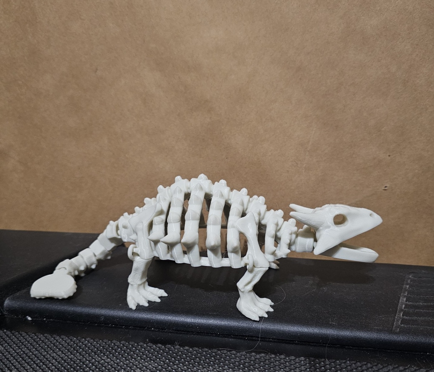 Articulated dinosaur skeleton 9