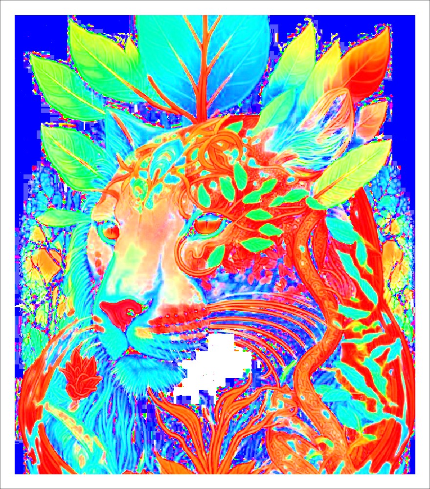 Colourful Cat head — miniatura 2