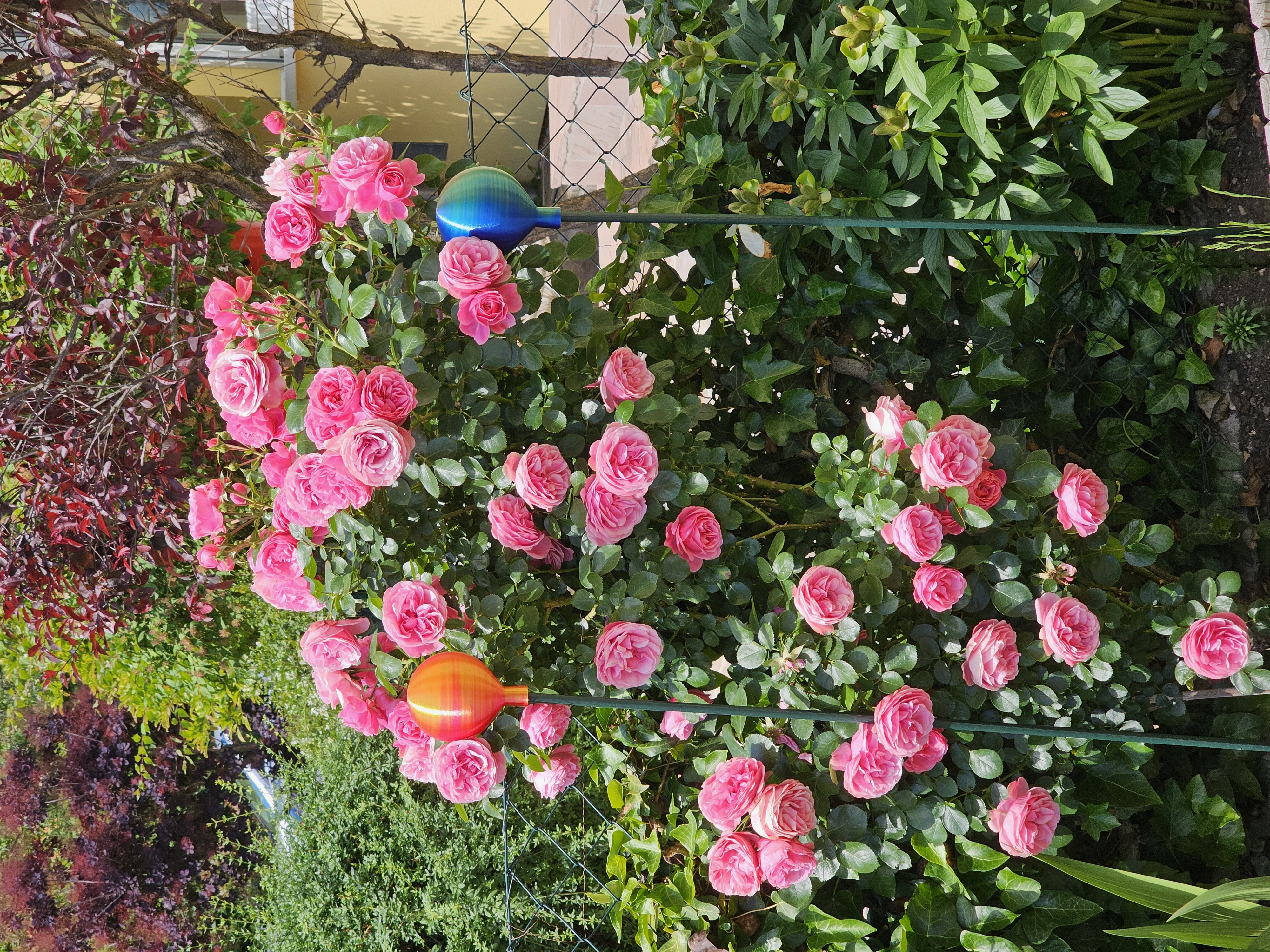Garden ball / Rose ball / Rosenkugel / Gartenkugel