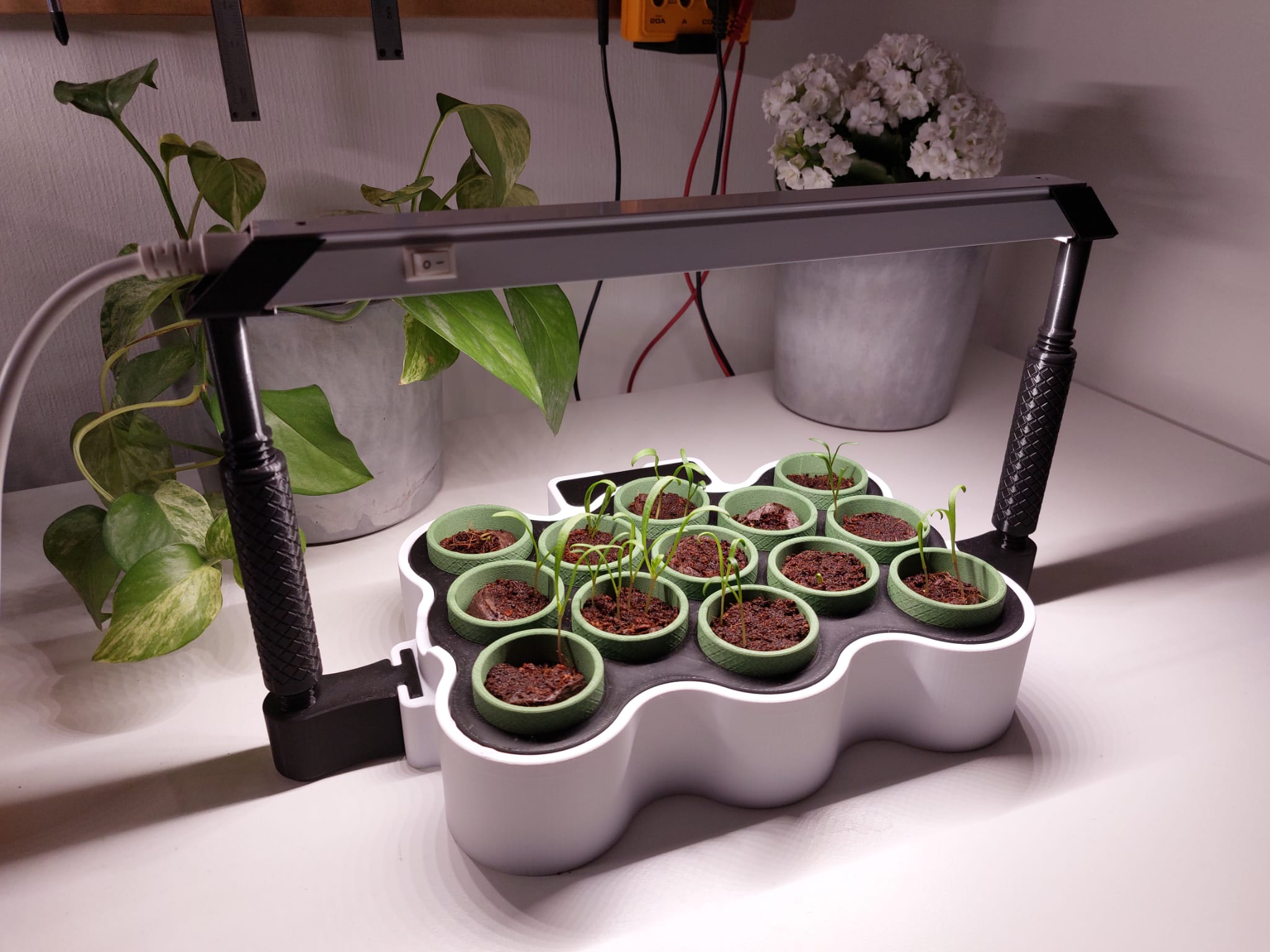 Seed Starter