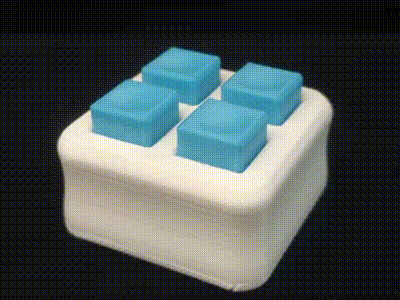 Quad Toggle Fidget Toy