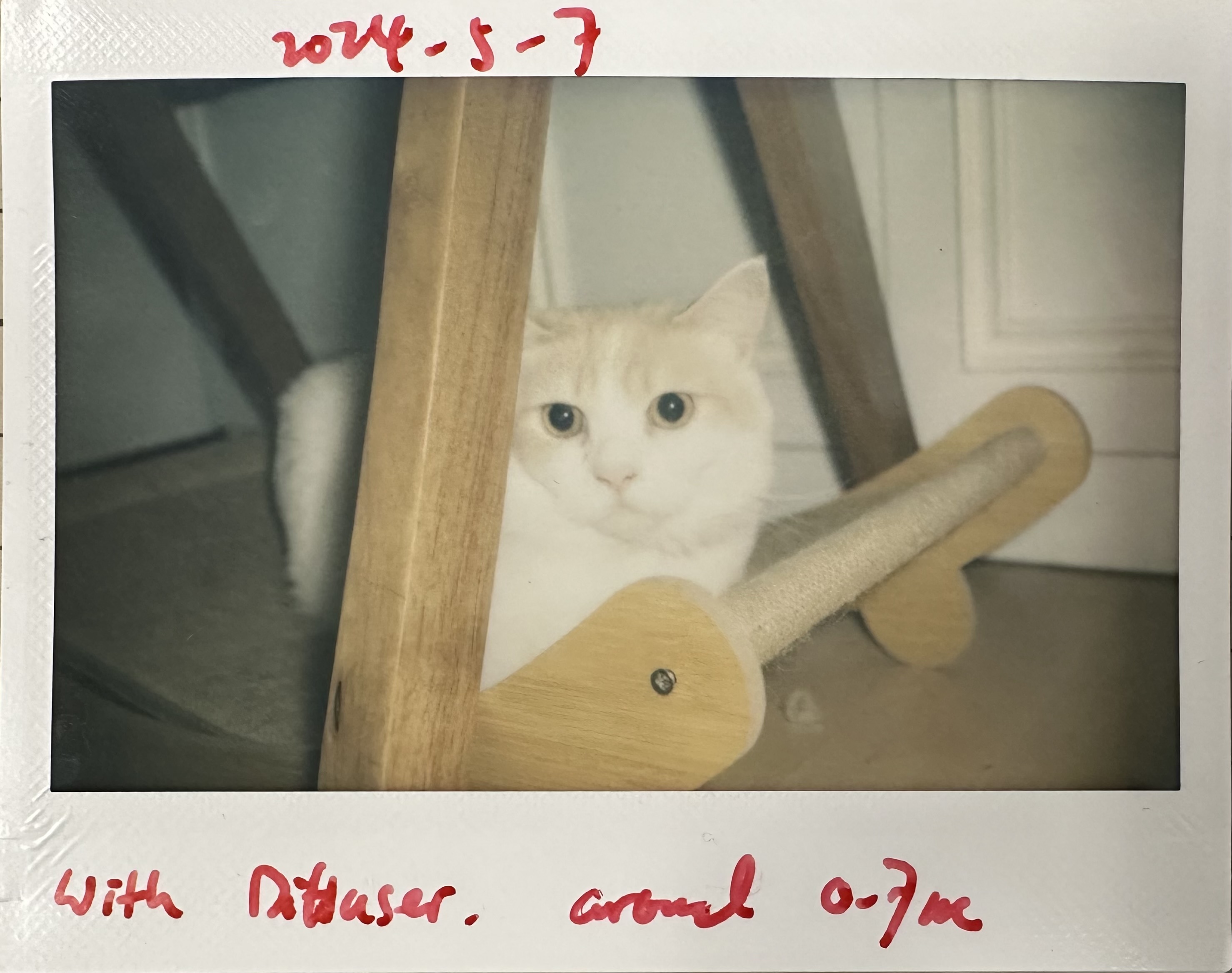 Miniatura 8 do modelo 3D Fuji Instax 210 Flash Diffuser