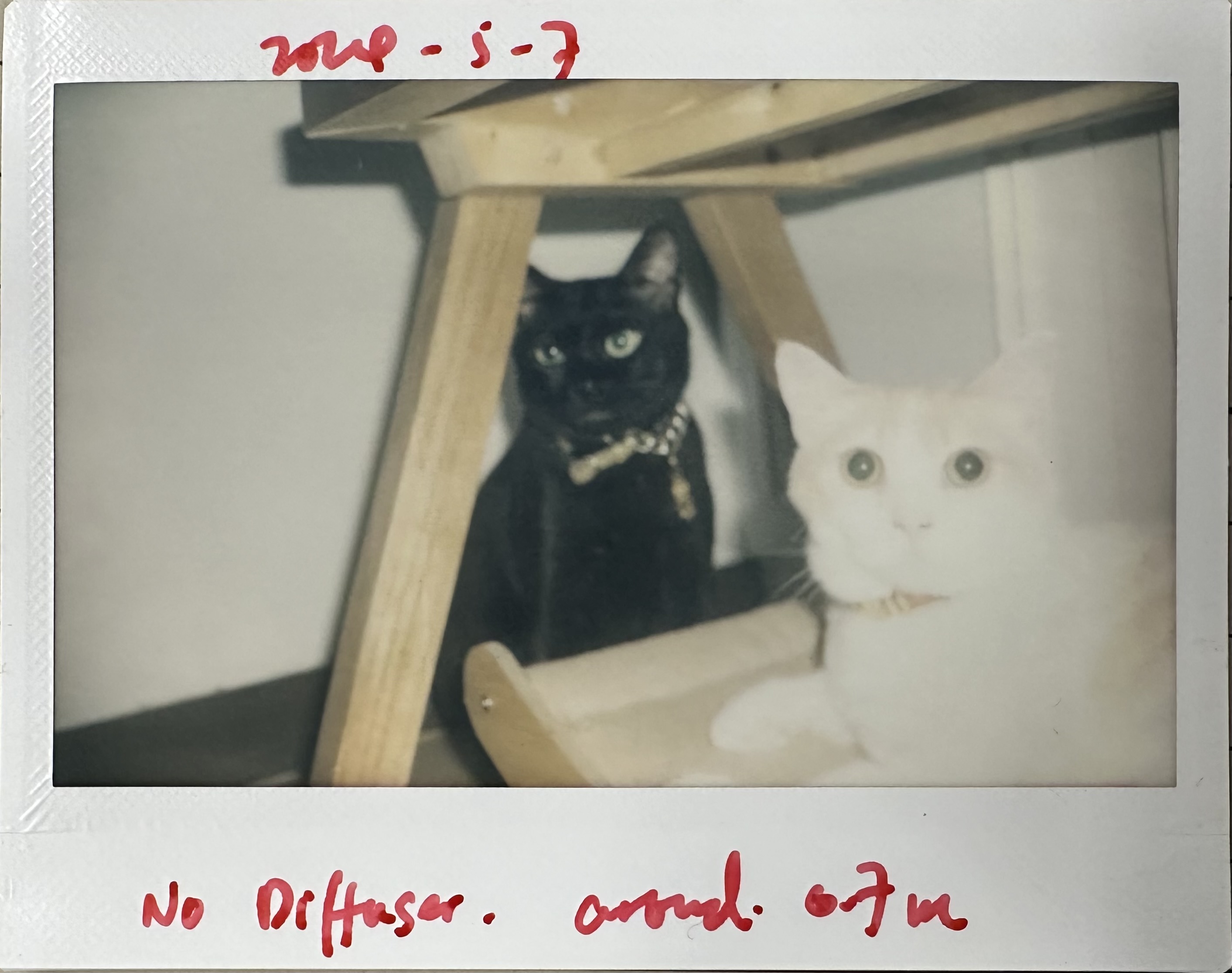Miniatura 9 do modelo 3D Fuji Instax 210 Flash Diffuser