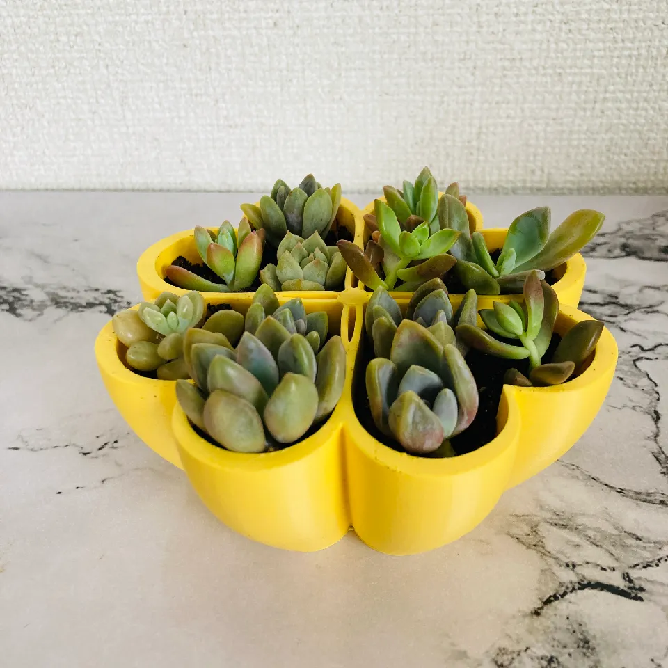 CLOVER POT by atmy | Download free STL model | Printables.com