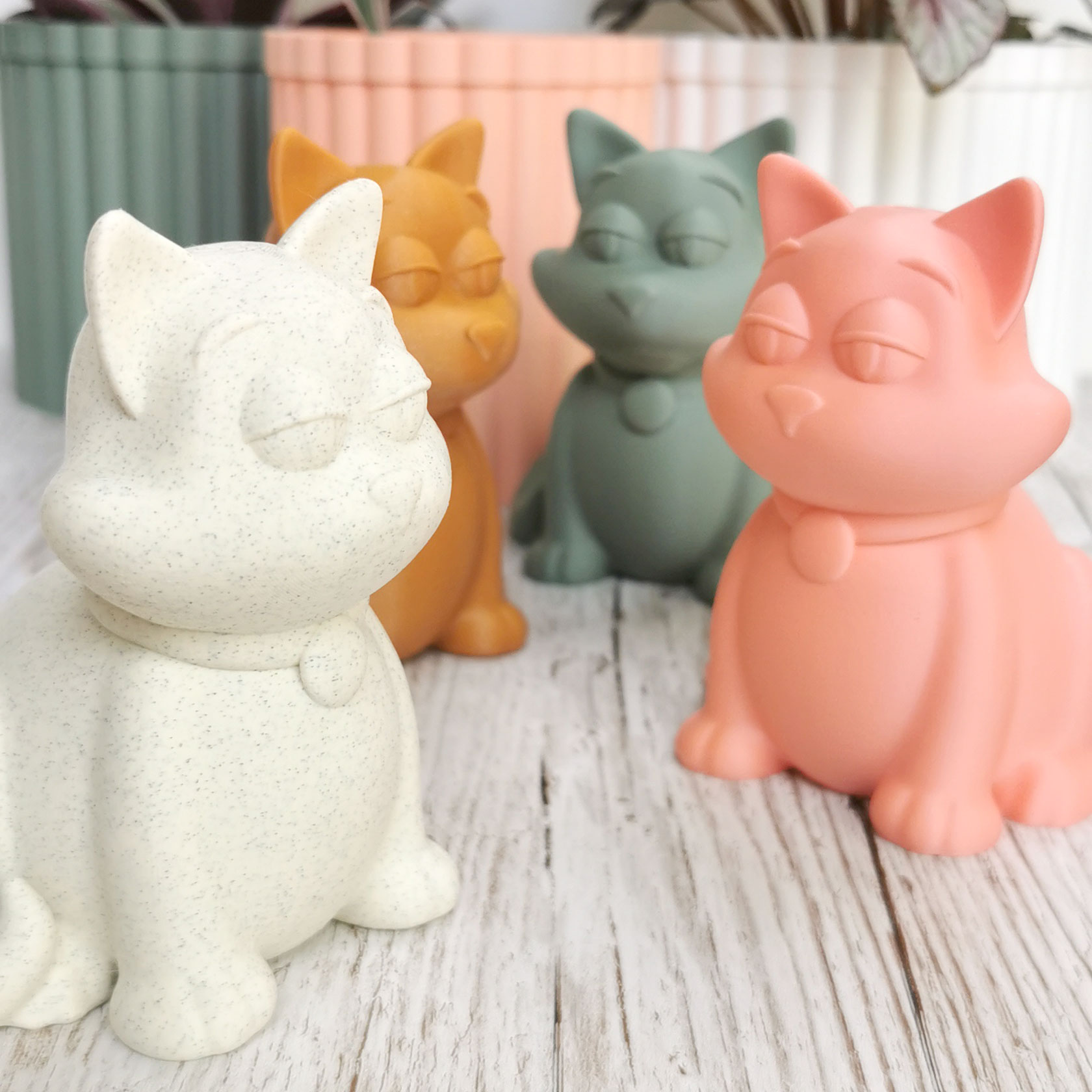 Chat / renard blasé - Funny cat fox