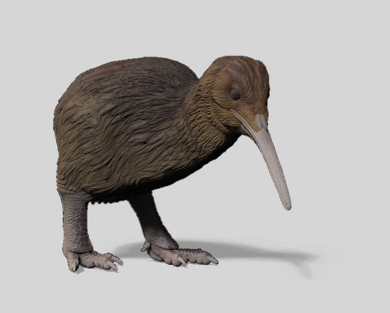 Kiwi Statue