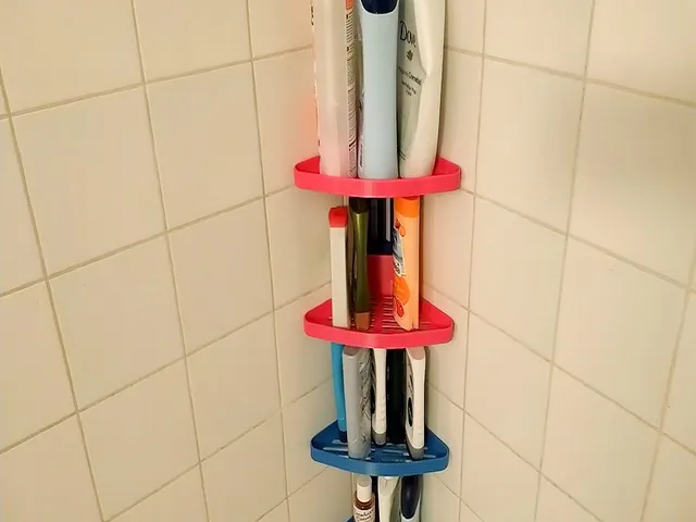 Modular Bathtub Tray/Organizer