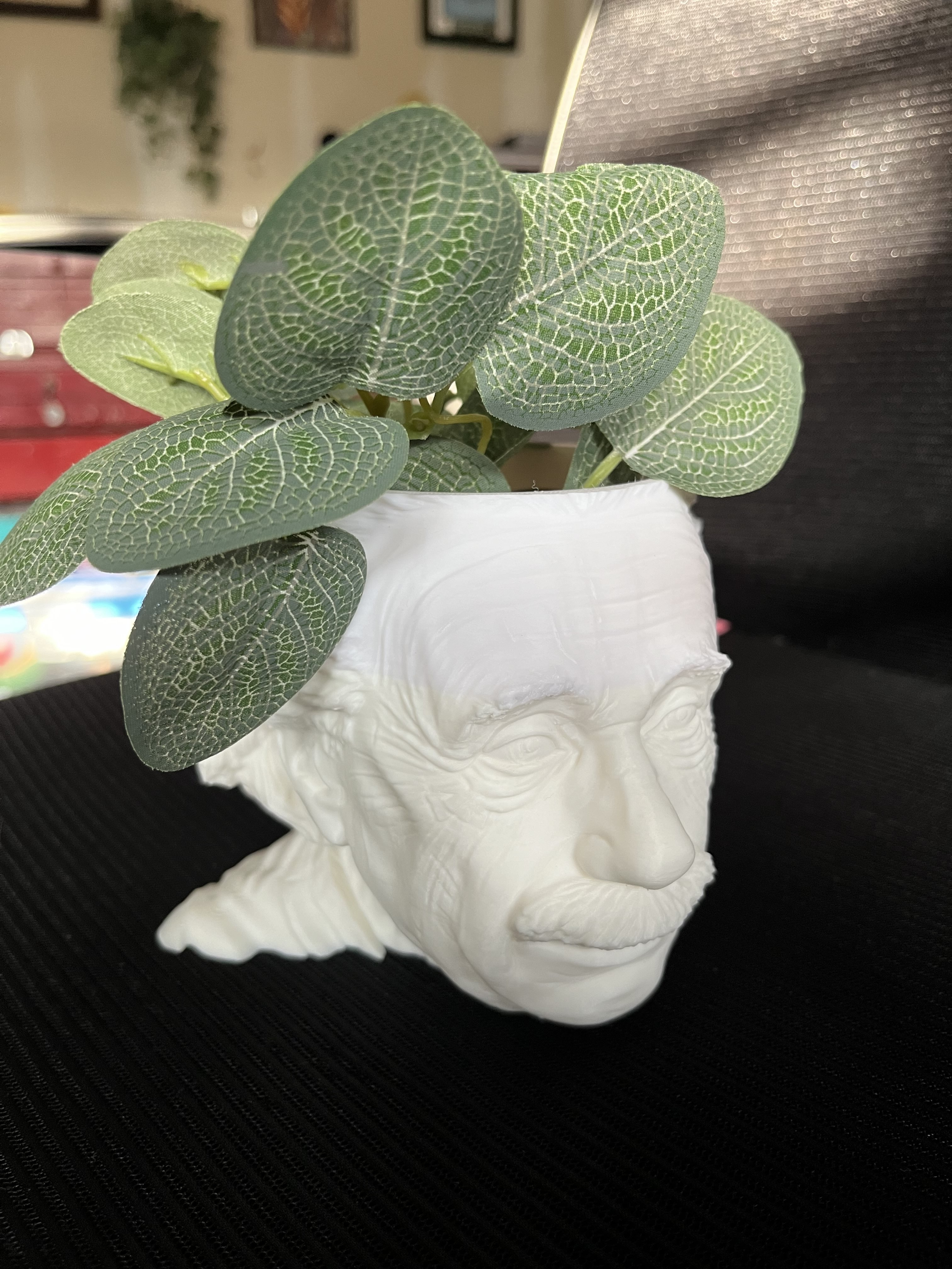 Einstein Planter