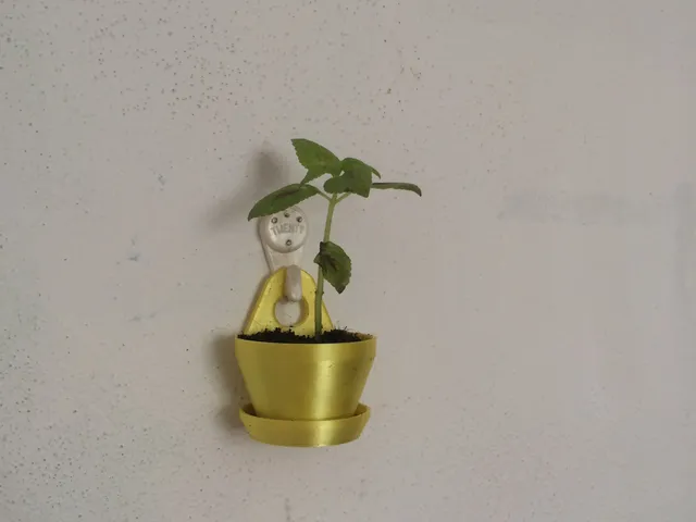 Small flower pots