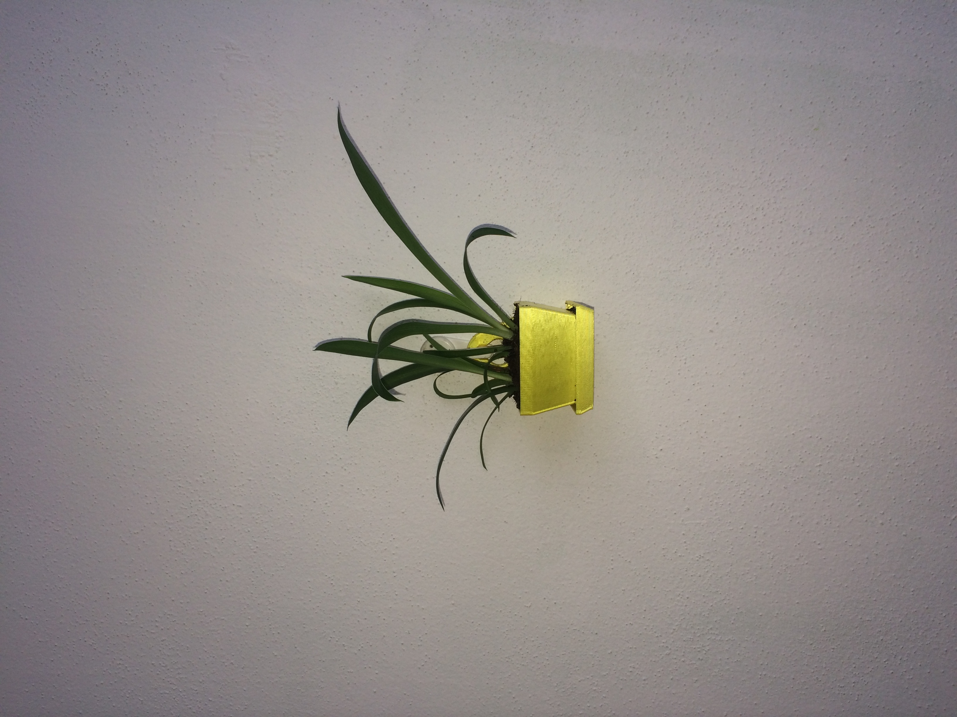 Miniatura 2 do modelo 3D Small flower pots