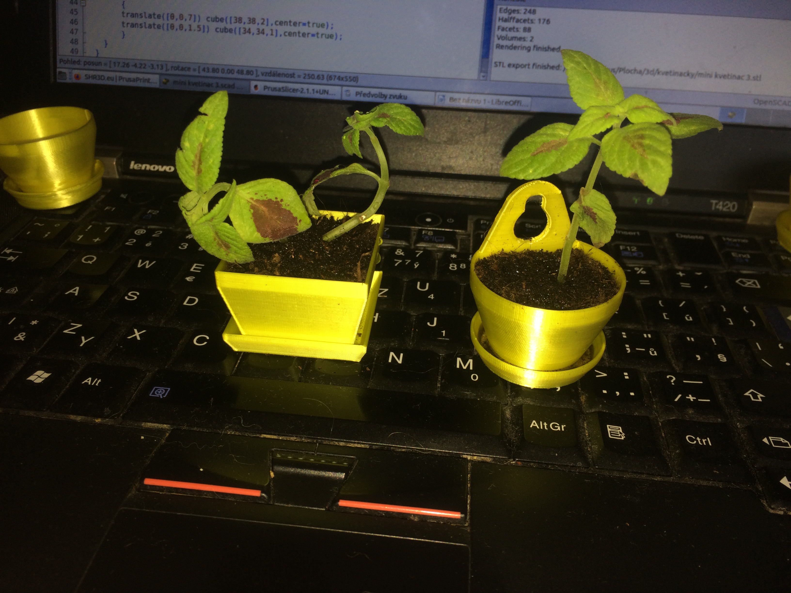 Miniatura 9 do modelo 3D Small flower pots